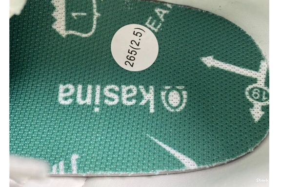 Neptune Dunk Green Nike Low CZ6501-101 Kasina 0327